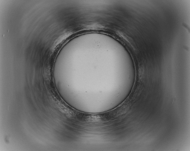 X0000102241315200808081427