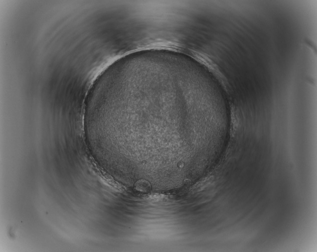 X0000102241316200808081427