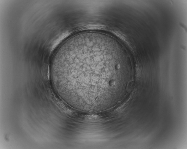 X0000102241317200808081427