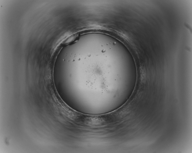 X0000102241318200808081427