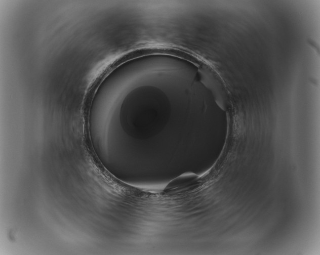 X0000102241319200808081427