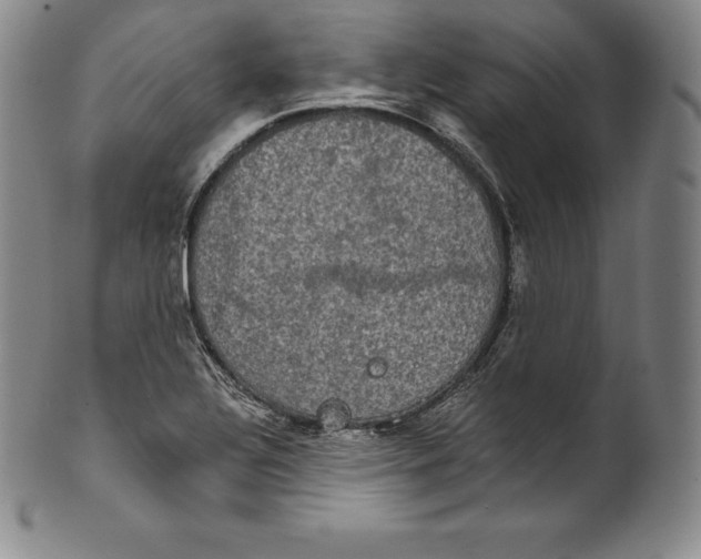 X0000102241320200808081427