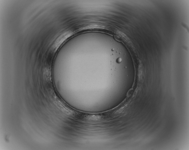 X0000102241321200808081427