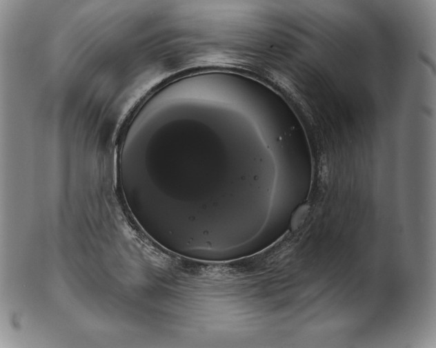 X0000102241323200808081427