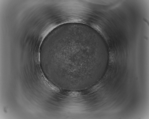 X0000102241324200808081427