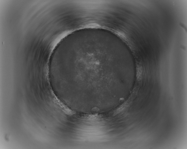 X0000102241326200808081427