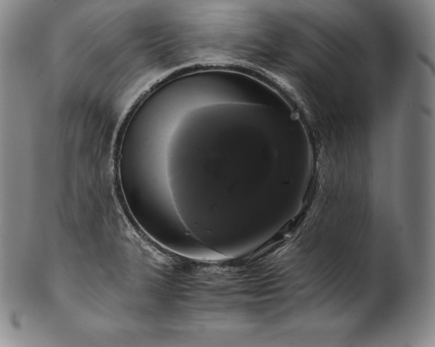 X0000102241327200808081427