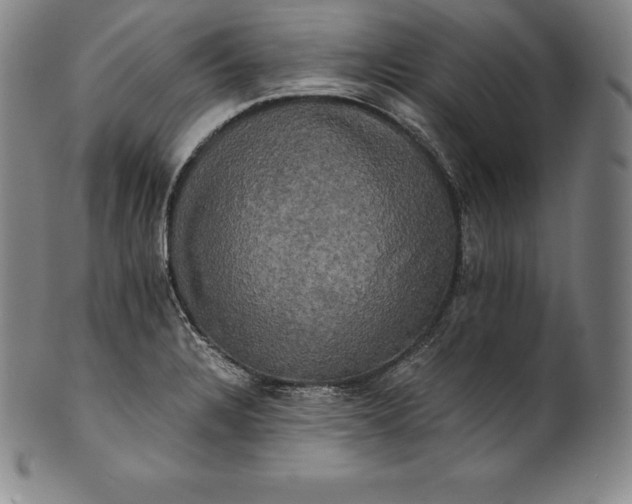 X0000102241328200808081427