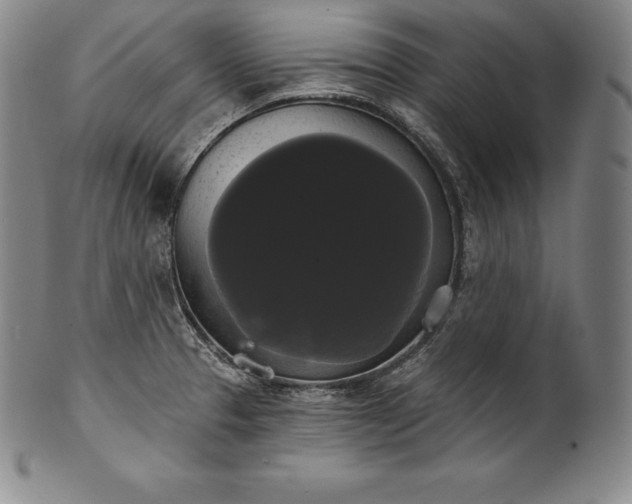 X0000102241329200808081427