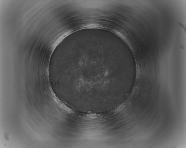 X0000102241330200808081427