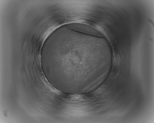 X0000102241332200808081427