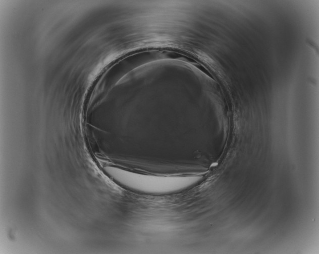 X0000102241334200808081427