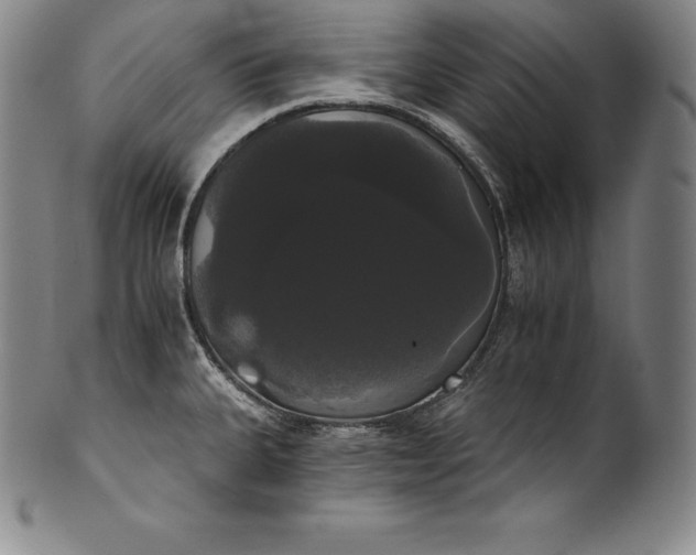 X0000102241335200808081427