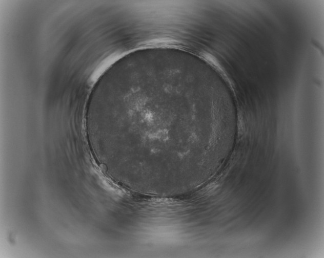 X0000102241336200808081427