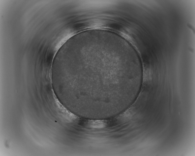 X0000102241338200808081427