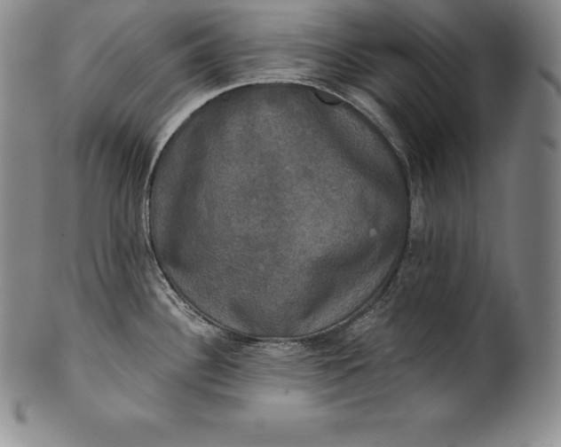 X0000102241340200808081427