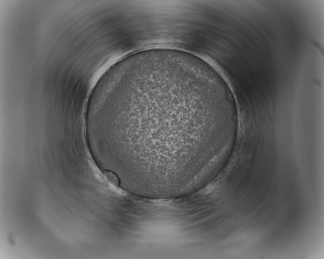 X0000102241341200808081427