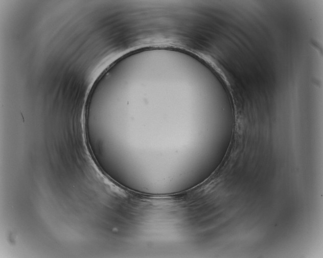 X0000102241343200808081427