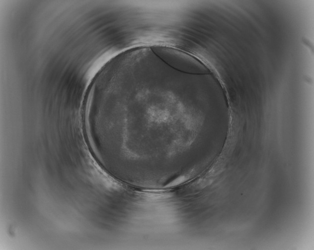 X0000102241344200808081427