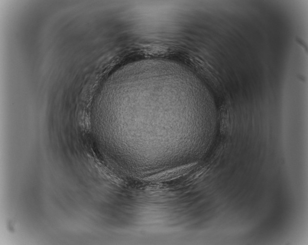 X0000102241345200808081426