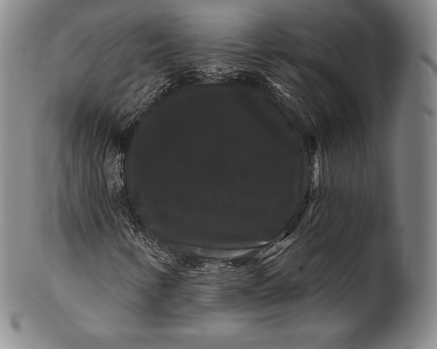 X0000102241346200808081426