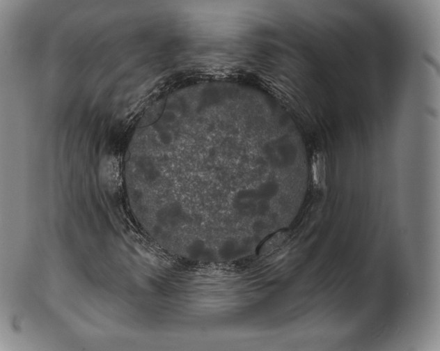 X0000102241347200808081426