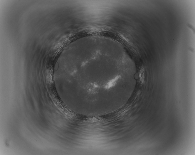 X0000102241348200808081426