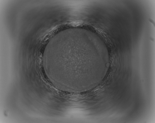 X0000102241349200808081426