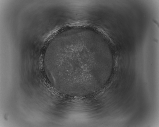 X0000102241350200808081426