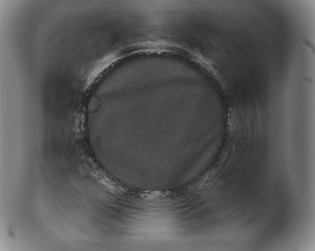 X0000102241352200808081426