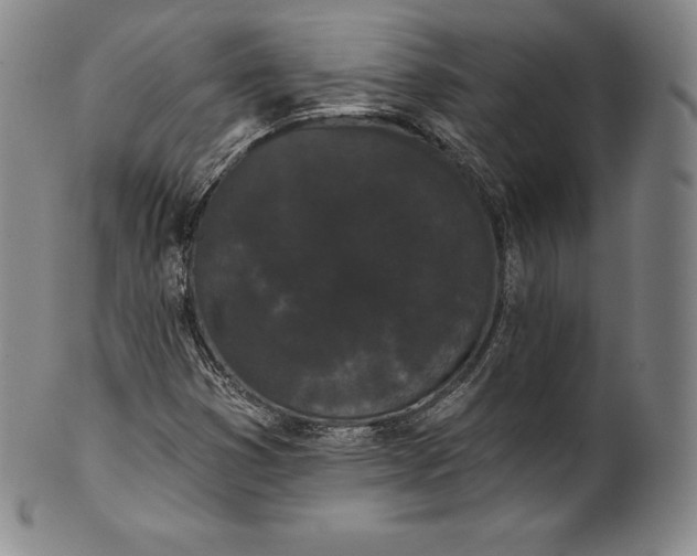 X0000102241353200808081426