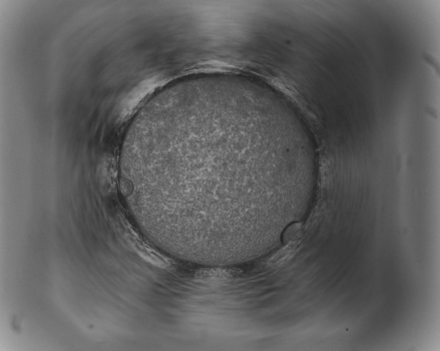 X0000102241355200808081426