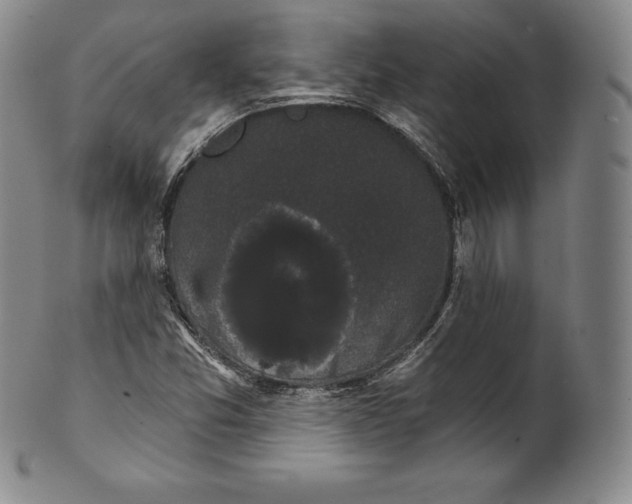 X0000102241357200808081426