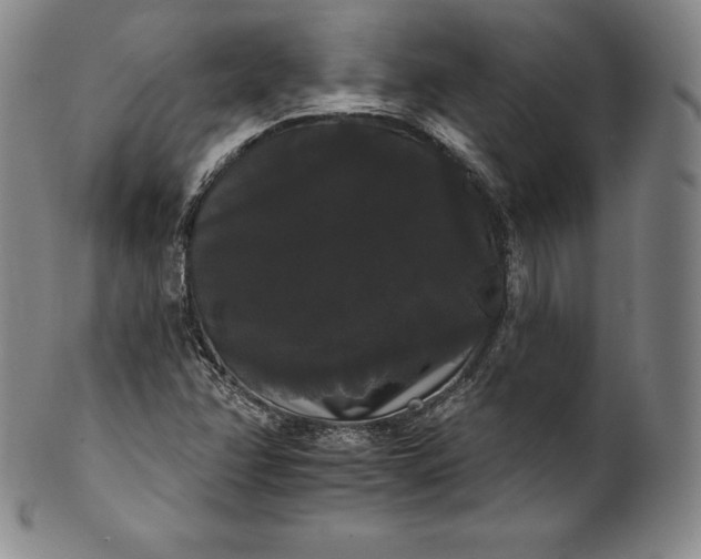 X0000102241358200808081426