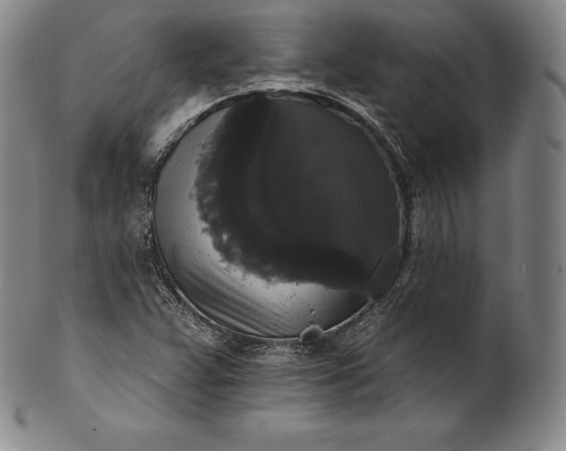 X0000102241359200808081426