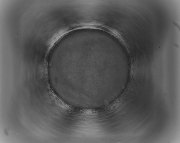 X0000102241360200808081426