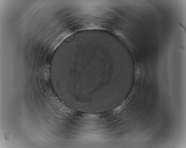 X0000102241361200808081426