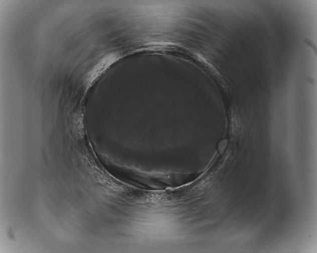 X0000102241362200808081426