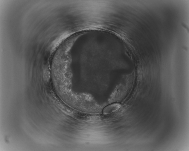 X0000102241363200808081426