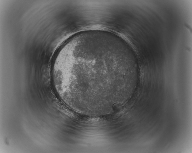 X0000102241364200808081426