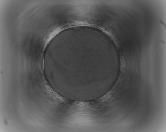 X0000102241365200808081426