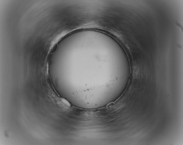 X0000102241366200808081426