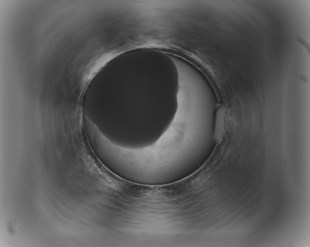 X0000102241367200808081426