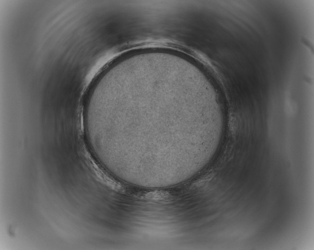 X0000102241368200808081426