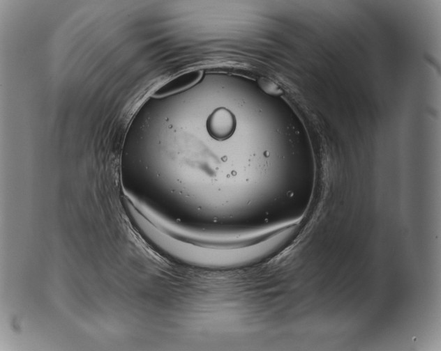 X0000102241369200808081426