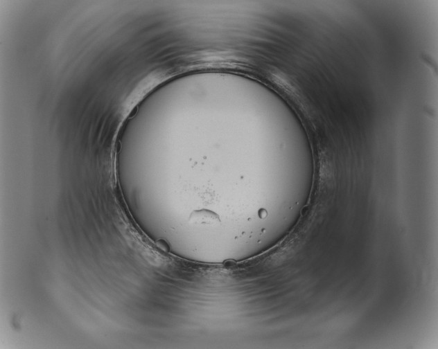 X0000102241370200808081426