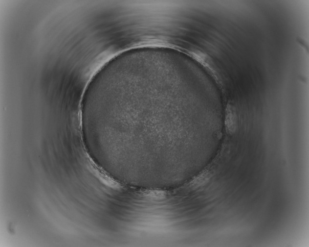 X0000102241372200808081426