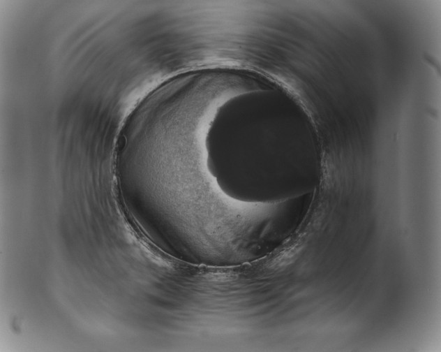 X0000102241373200808081426