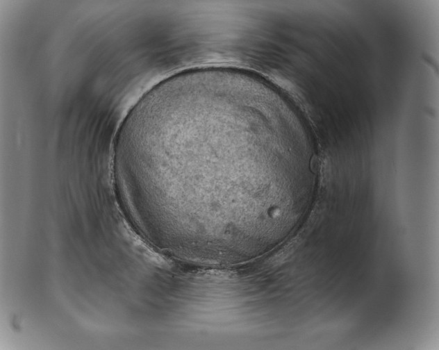 X0000102241374200808081426