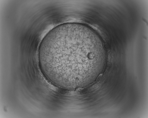 X0000102241375200808081426